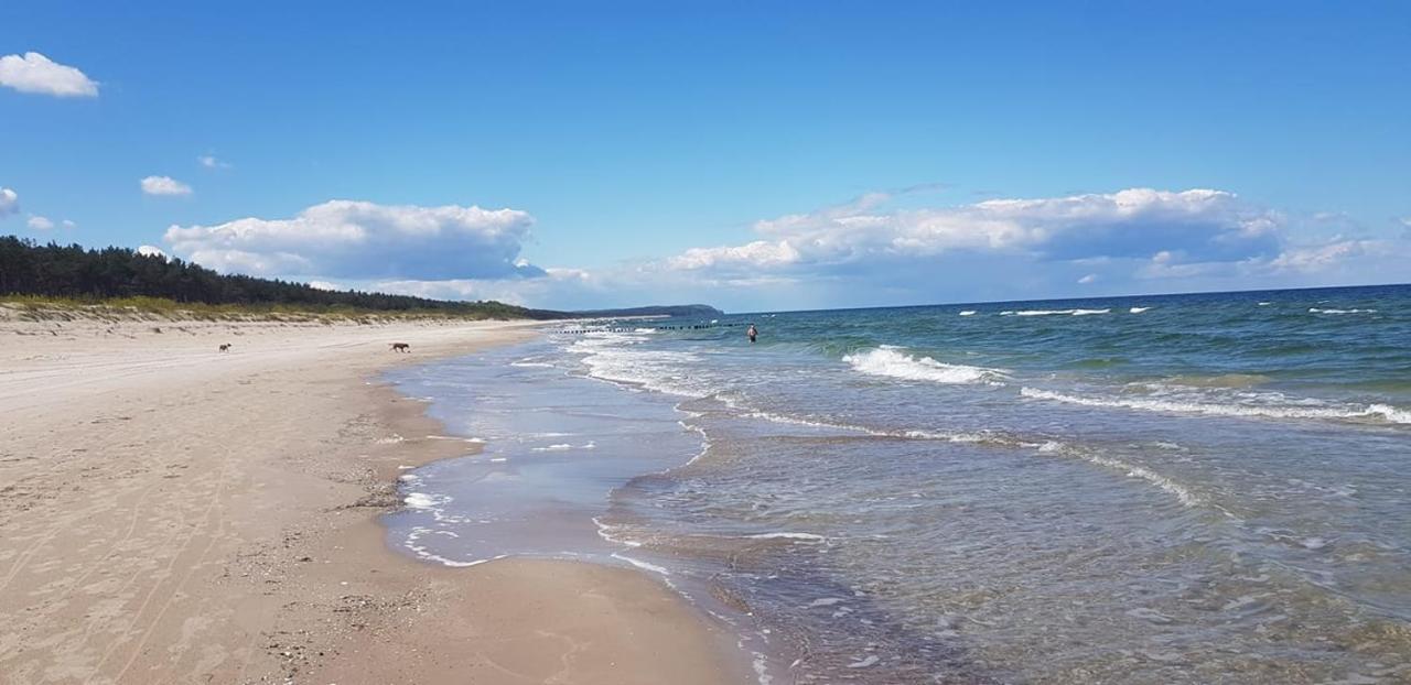 Apartament Baltyk 8 Dziwnów Buitenkant foto